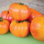 Heirloom Tomato Plants - Set of 2 Live Plants 6-10 Inches for Garden - No ship CA