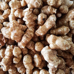 Jerusalem Artichoke Tubers - 10 Fresh Sunchokes Bulbs for Garden Planting