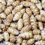 3Pcs Jerusalem Artichokes For Planting, Jerusalem Artichokes Tubers, 2-5" Inches, Sunchoke Sunroot Artichokes Roots