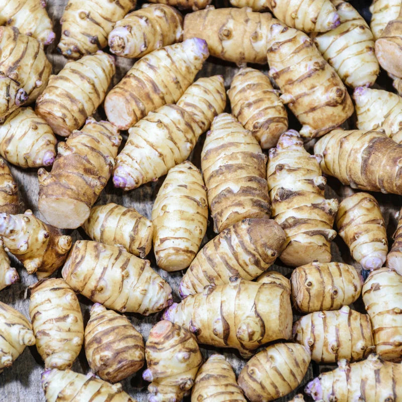 3Pcs Jerusalem Artichokes For Planting, Jerusalem Artichokes Tubers, 2-5" Inches, Sunchoke Sunroot Artichokes Roots