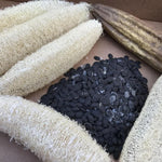 Luffa Gourd Seeds - 20 Count - Grow Natural Sponges
