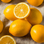 Meyer Lemon Tree Live Plant - 1-2 Inch Starter - Perennial Fruit Tree