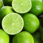 Persian Lime Tree - 2 to 3 Feet - Fruit Tree - Potted Plant