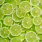 Persian Lime Trees Live Plants 2-3 Feet Tall 1 Gallon Pot No Shipping to CA