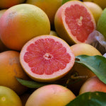 Pink Grapefruit Tree Live Plant 2-3 Ft Tall Pomelo Tree for Planting
