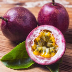 Purple Passionfruit Plant Live - Passion Fruit Vine - Garden Ready