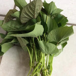Purple Sweet Potato Slips - 10 Sweet Potato Cuttings for Planting