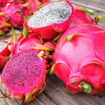 Purple Dragon Fruit Plant Live - 2 Plants, 4-6 Inches Tall, Sweet Fruit