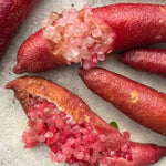 Red Finger Lime Tree Plant - 2 to 3 Ft Height - Live Fruits