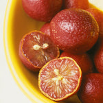Red Lime Tree Plant - 2 to 3 Ft Green Lime Trees in 1 Gal Pot No Shipping to CA