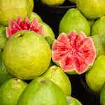 Ruby Guava Tree - Grafted Fruit Plant - 2-3 Ft Tall - Outdoor Planting