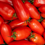 San Marzano Tomato Plants Set of 2 | Heirloom Variety for Garden - No Ship to CA