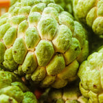 Sugar Apple Tree Seeds Annona Squamosa - Grow Your Own Delicious Fruit