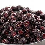 Sweet Boysenberry Plants - 2 Live Berry Plants 5-8 Inch Tall - Outdoor Garden Starter