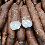 Sweet Yuca Cassava Cuttings - Manihot Cassava - 4 Count - Root Vegetable