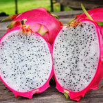 Dragon Fruit Plant Live - White Pitaya Plant 4-7 Inches - Sweet Fruit
