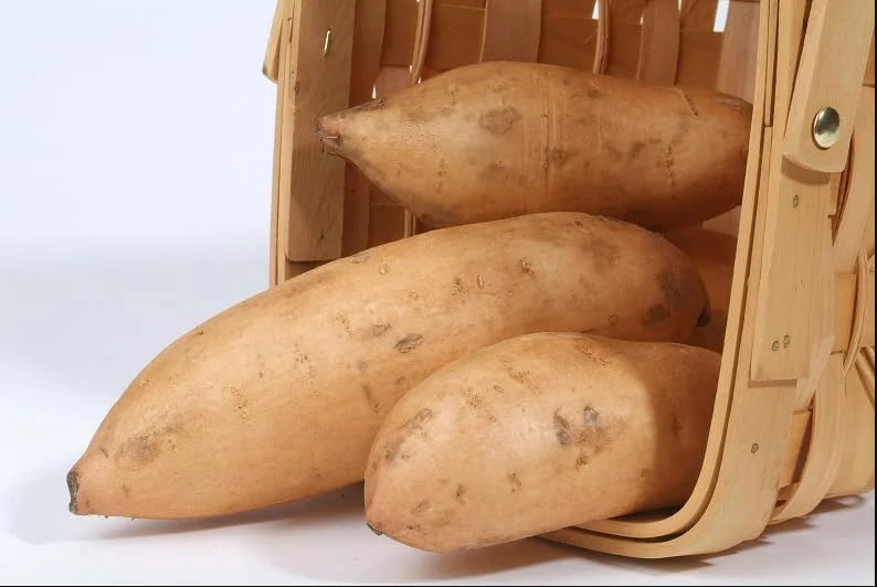 White Sweet Potato Slips - 10 Sweet Potato Cuttings for Planting