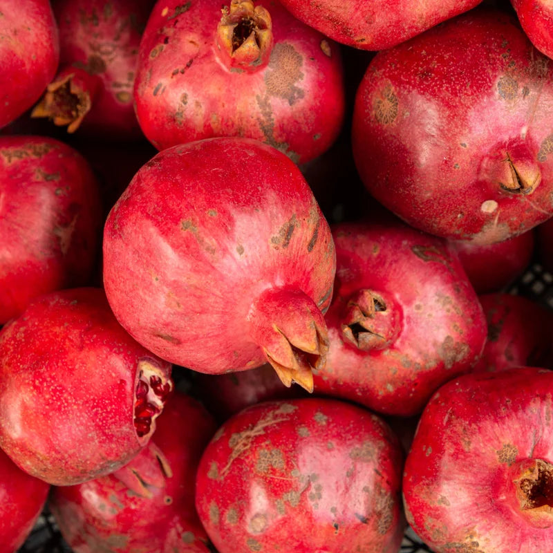 Wonderful Pomegranate Tree Live Plant 10-12 Inch Fruit Bush Indoor/Outdoor