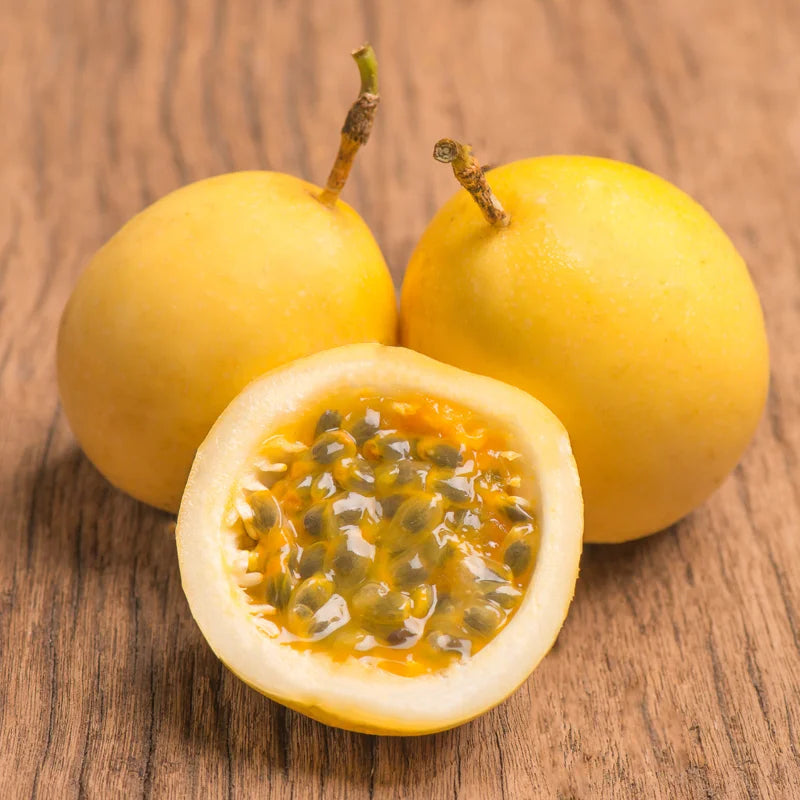 Yellow Passionfruit Plant Live Vine - Fruiting Passion Fruit Tree