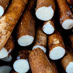 Yuca Cassava Plants Live Cuttings - 10 Sweet Manihot Root Pieces, Easy to Grow