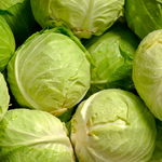Cabbage Plants Pack of 3 - Vegetable Plant for Outdoor Garden